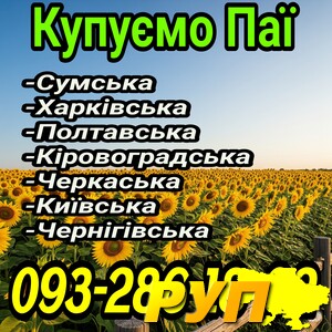 Купляємо паї в різних регіонах. В оренді, без оренди. Для уточнення інформації та ціни тел: 099-424-12-54